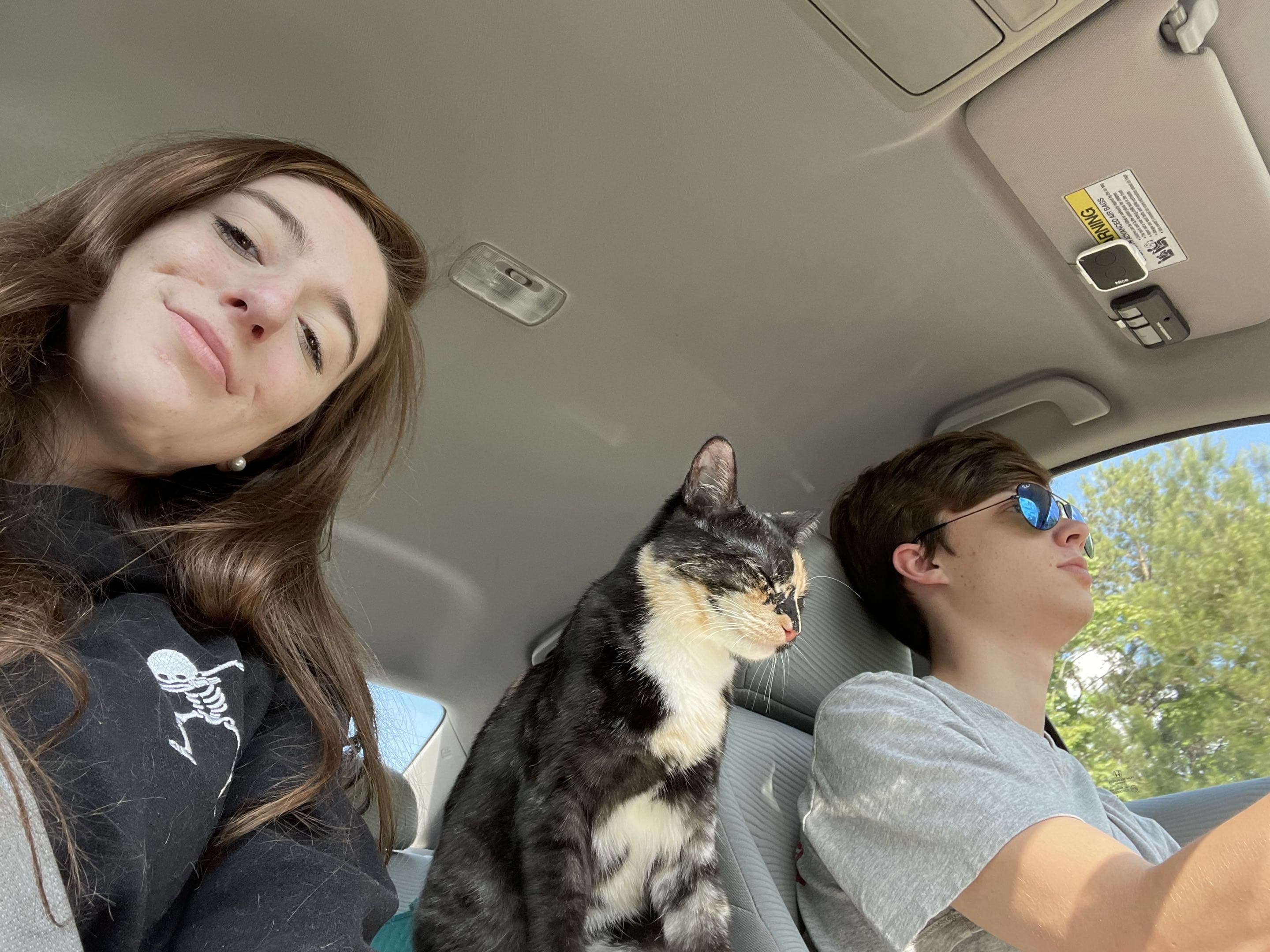 Alex, Max, and Jules in the car.